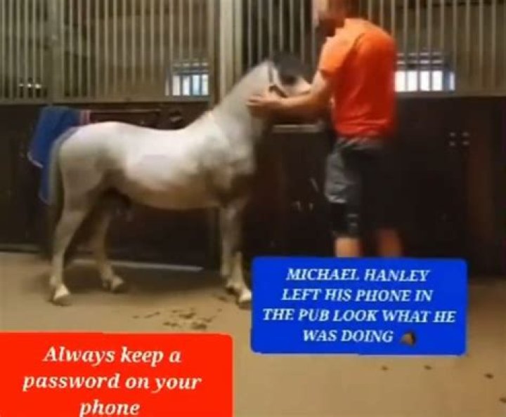Michael Hanley shocks netizens with horse video