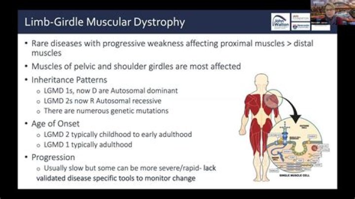 Miyoshi myopathy and limb girdle muscular dystrophy R2 are the same disease - ePrints