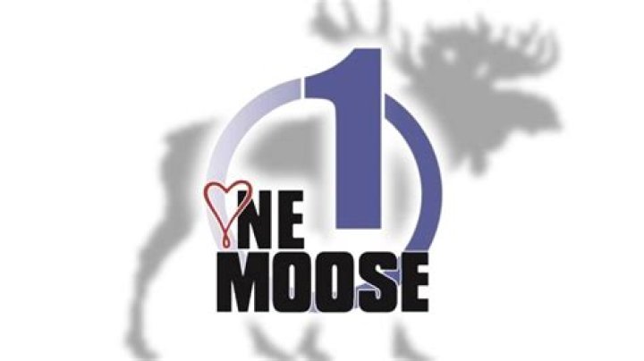 Moose Fest will feature carnival in Geneseo