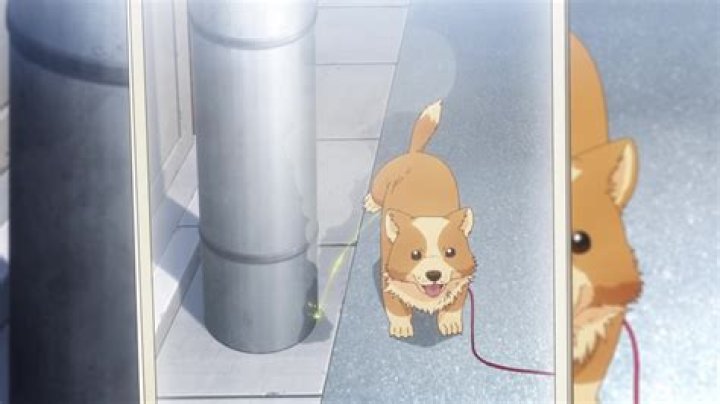 My Life as Inukai-san’s Dog Episode 6 Release Date: Lonely Rabbit