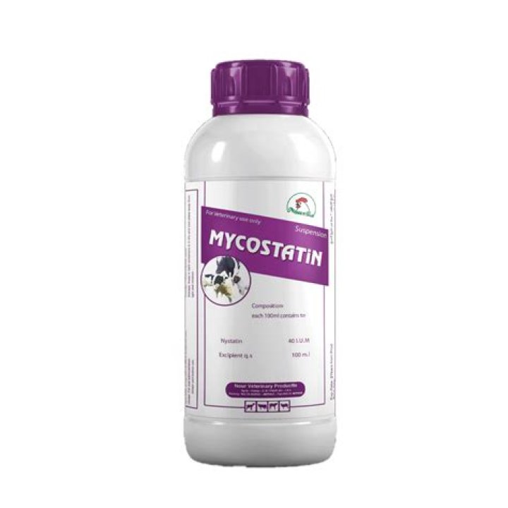 دواء ميكوستاتين (MYCOSTATIN) دواعي الاستعمال والآثار الجانبية – تريندات 2024