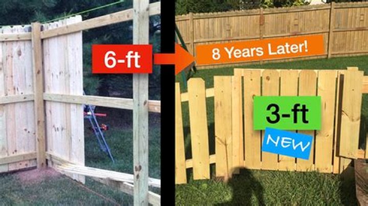 Mysterious 6ft fence sprung up next to our houses without warning - I can't cut my own hedge...it must come down
