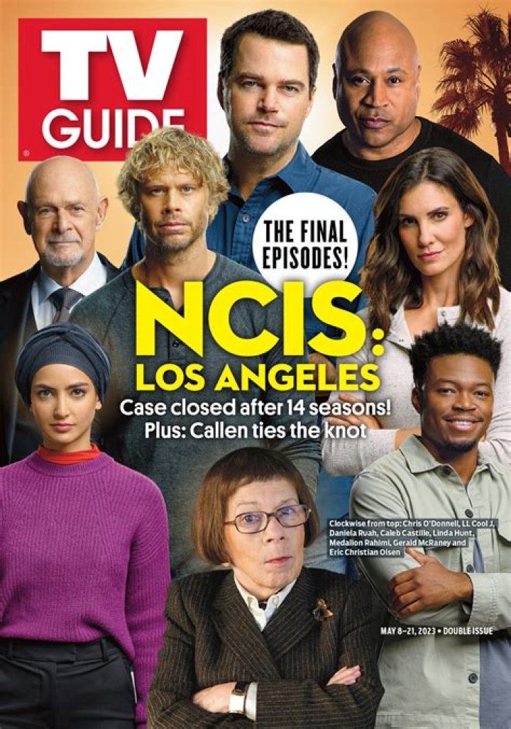 NCIS: Los Angeles cast has great guest-star for new episode called The Guardian: Who plays Harmon Rabb?