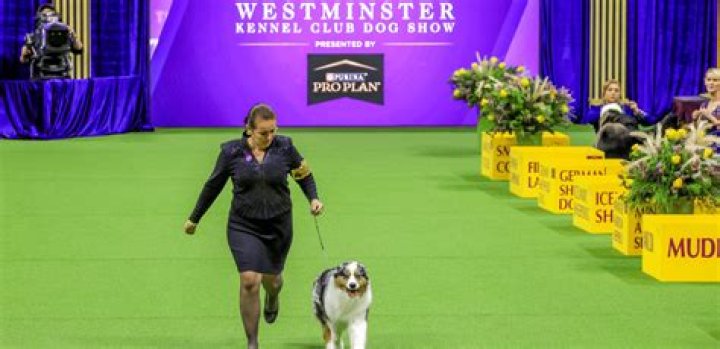Nebraska Kennel Club Dog Show