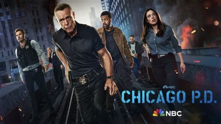 New cop on Chicago P.D.: Lisseth Chavez plays Nina Rodriguez