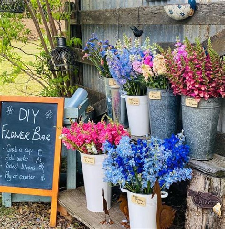 🌺🌹New to Our Area: Pick Your Own Bouquet Flower Farm