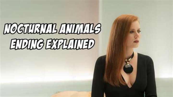 Nocturnal Animals Ending, Explained