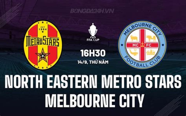 North Eastern Metro Stars - Club profile
