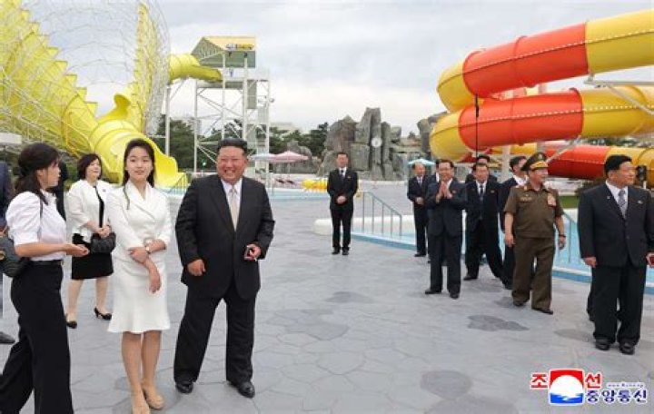 North Korea porn searches reveal Kim Jong-un's inner circle enjoy Japanese adult films - as X-rated traffic in hermit state skyrockets
