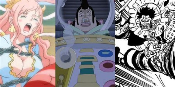 One Piece Confirms Important Detail About Kaido