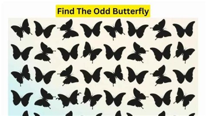Optical Illusion Brain Test: If you have Sharp Eyes find the Odd Butterfly in 8 Seconds