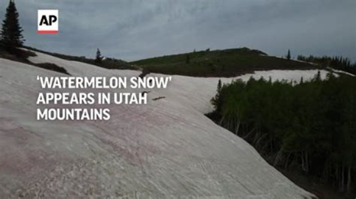 Out of this world! Watermelon snow turns Utah mountains red