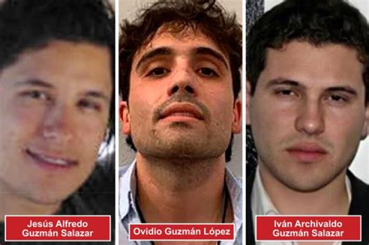 Ovidio Guzmán López, El Chapo's Son Biography, Wiki, Age, Family, Now