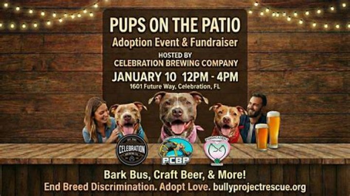 PAW-SOME! Help rescue dogs at Pups on the Patio