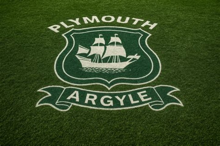 Plymouth Argyle - Market value analysis