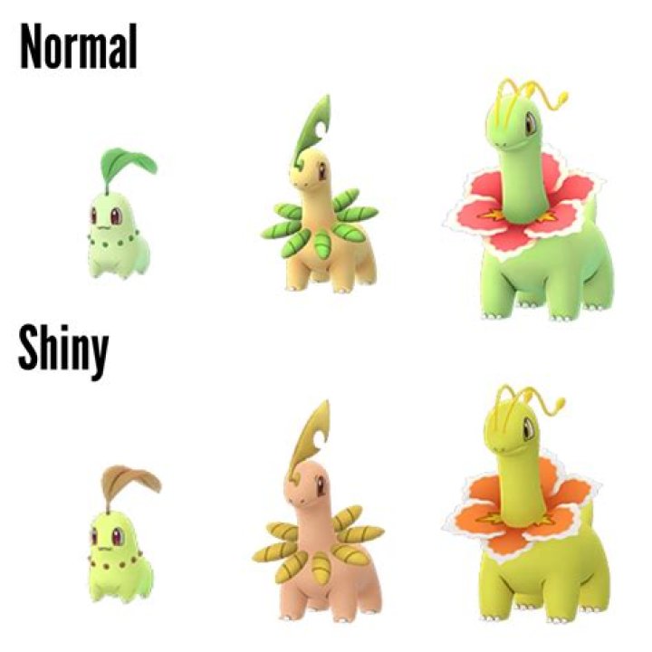 Pokemon Go Adds Shiny Chikorita to Community Day