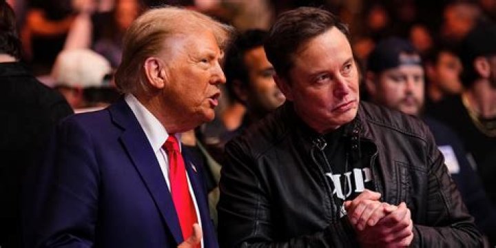 Porn actress Taylor Jackson has sex in Tesla on autopilot mode, Elon Musk reacts