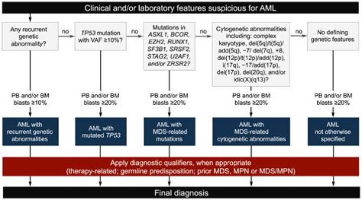 Precipio’s Omnia™ Methodology Enables Diagnosis of MDS With Peripheral Blood Instead of Bone Marrow Biopsy