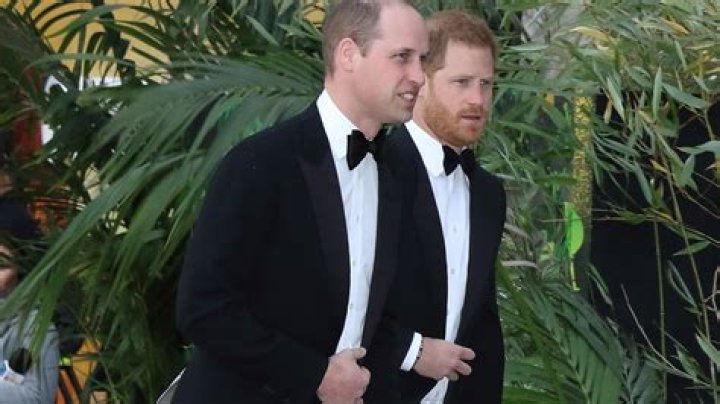 Prince William is ‘irked and probably jealous’ of Harry’s celebrity status, royal watcher claims