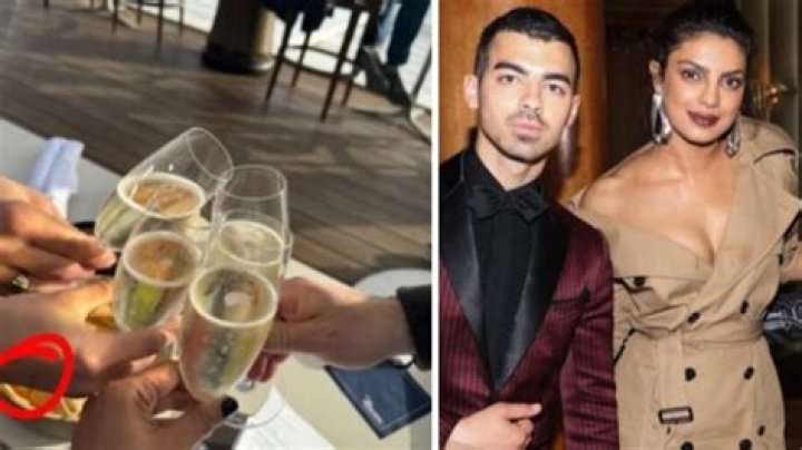Priyanka Chopra Sparks Rumors with Deleted Instagram Post Hinting at Joe Jonas and Stormi Bree’s Double Date