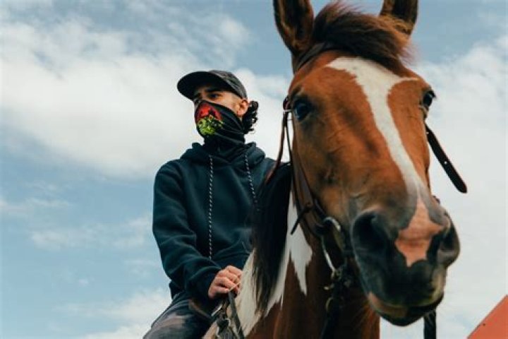 Punters are left stunned by 'wonder horse' who could be racing’s next big thing