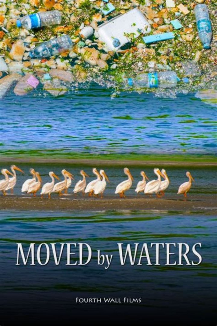 REVIEW: New QC environmental film moving, inspiring