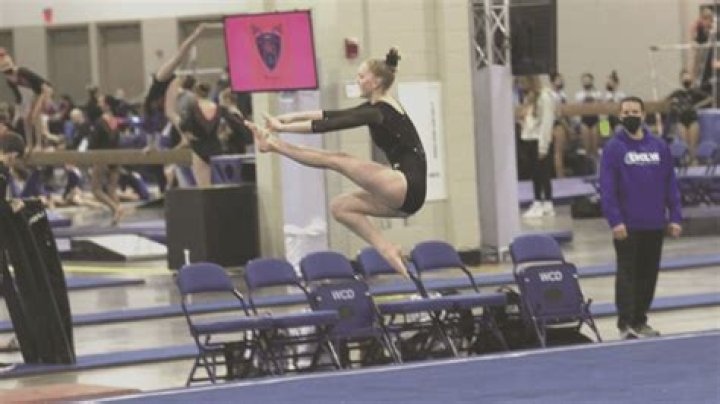 Rising Stars | Evolve Gymnasts