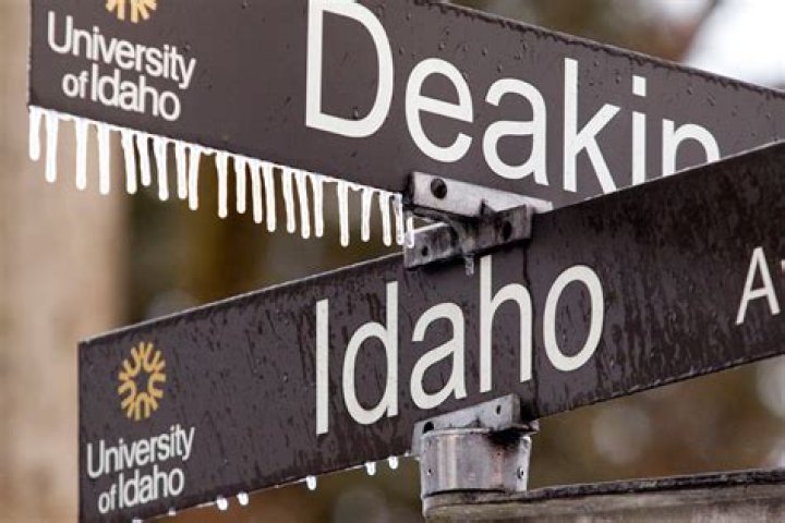 Ruling moves University of Idaho closer toward controversial bid to acquire University of Phoenix