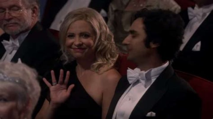 Sarah Michelle Gellar on The Big Bang Theory was a beautiful touch to emotional series finale