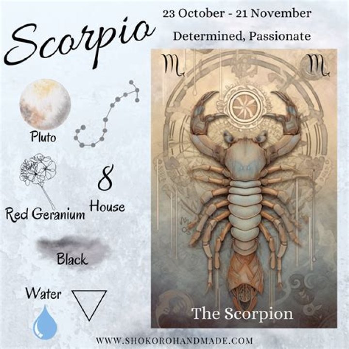 Scorpio Man - The Basic Scorpio Man Traits and Characteristics