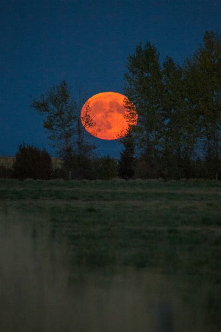 September 2023’s Full Harvest Moon Spiritual Meaning