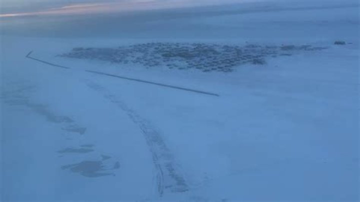 Shooting stuns indigenous whaling village on Alaska’s desolate North Slope