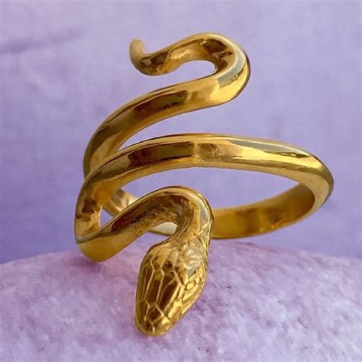 Shop Taylor Swift's Trendy Snake Ring