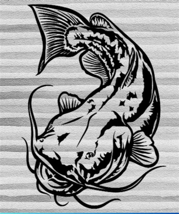 Solana & Elijah Make 'Catfish' History with Tattoos, 'Chatfish,' Copy-Catfish, and Honesty