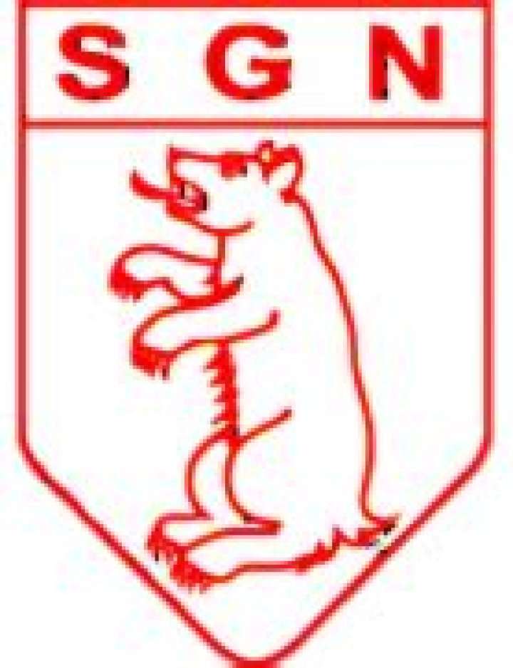 Sportgemeinde Nellingen - Club profile