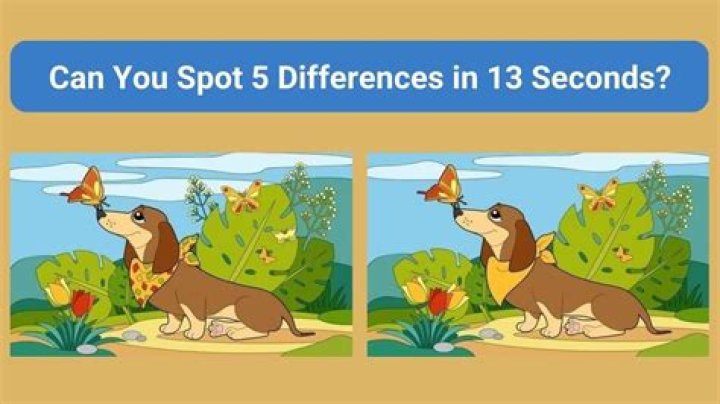 Spot the difference Game: Only a genius can find the 5 differences in less than 25 seconds!
