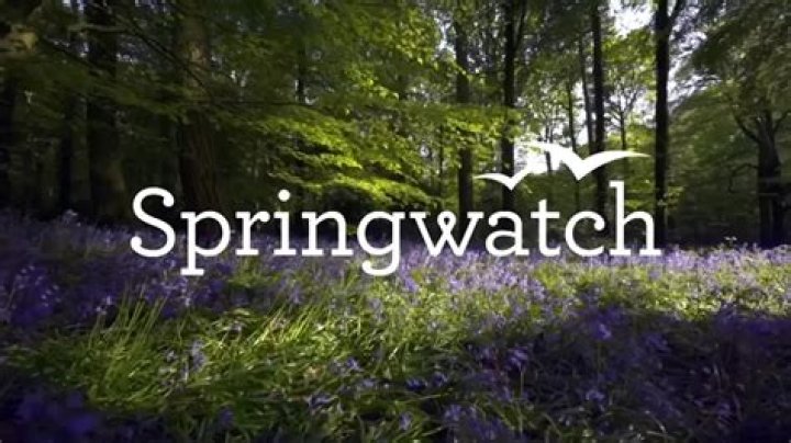 Springwatch 2023 air date | When does BBC Two show return?