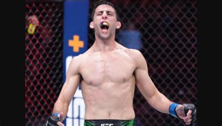 Steve Erceg Wikipedia And Age: All About The UFC Fighter