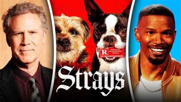 Strays Movie (2023): Cast, Actors, Producer, Director, Roles and Rating