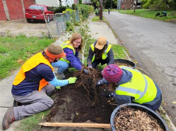 Students plant 25 trees in forest preserve