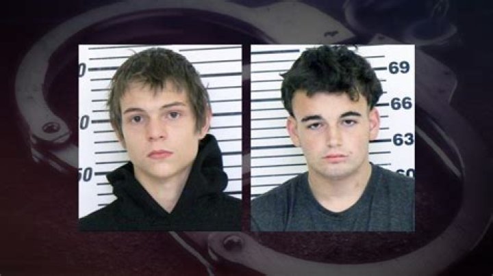 Suspect rammed squad car with stolen truck, police allege