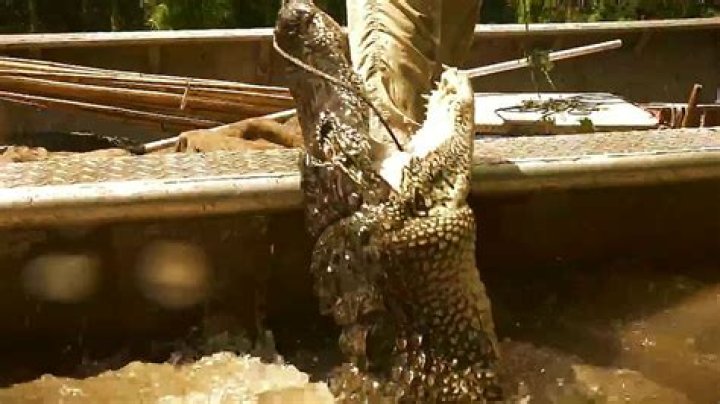 Swamp People recap: Cannibals galore, Gator Turducken wrapped in ten pounds of bacon is for dinner