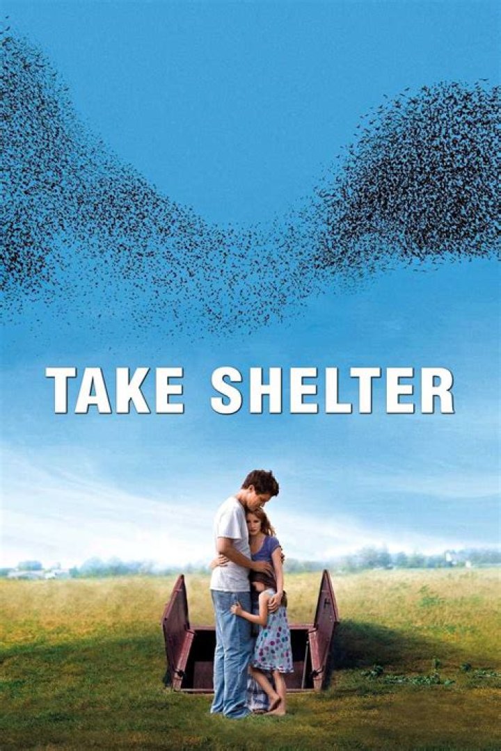 Take Shelter Ending, Explained