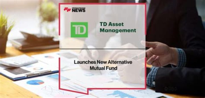 Td Asset Management Inc 13F annual report (2024)
