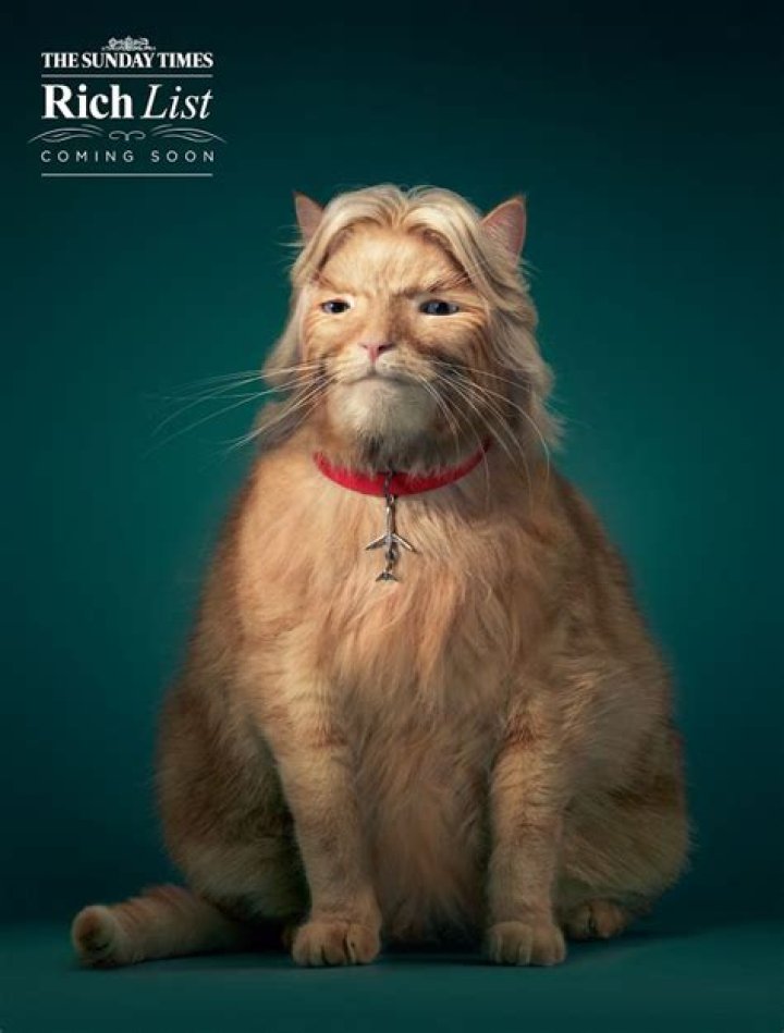 The 'Keanu' Cat Calendar Is A Purrfect Way To Celebrate The New Movie
