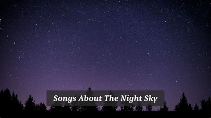 The 120+ Best Songs About The Night, Ranked By Votes