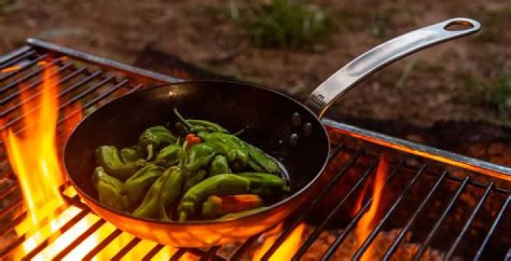 The 5 Best Pans For High Heat Cooking