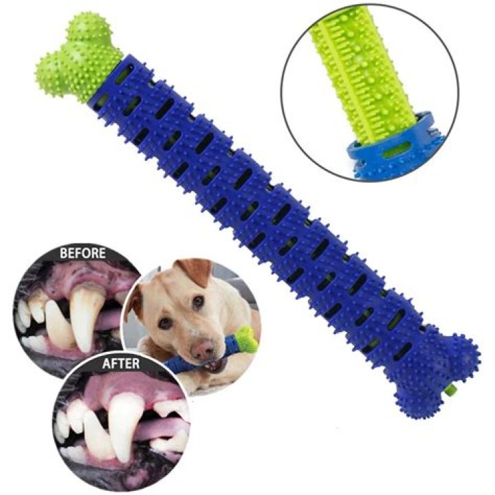 The 9 Best Toothbrush Toys For Dogs