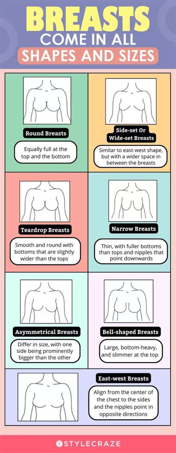 The Evolutionary Reasons For Why We Love Breasts So Much