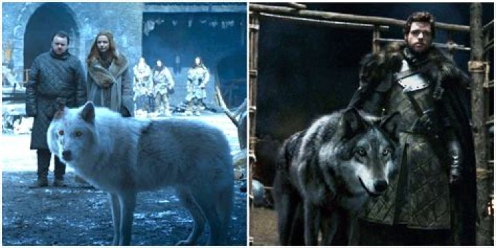 The Final Season of Game of Thrones Nearly Featured a Direwolf Army